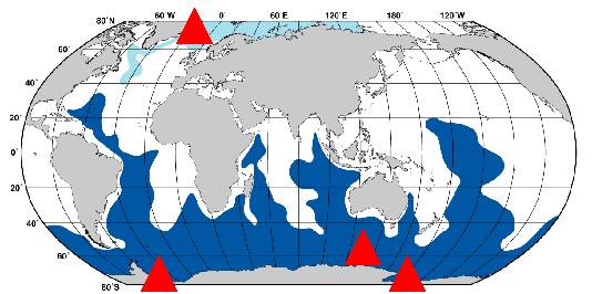 Massas d água e tipos de água Camada intermediária Massas d água profunda e do fundo Água do Mar Nórdico (AMN) (contribui para a Água de Fundo do Atlântico Norte): convecção profunda no Mar da