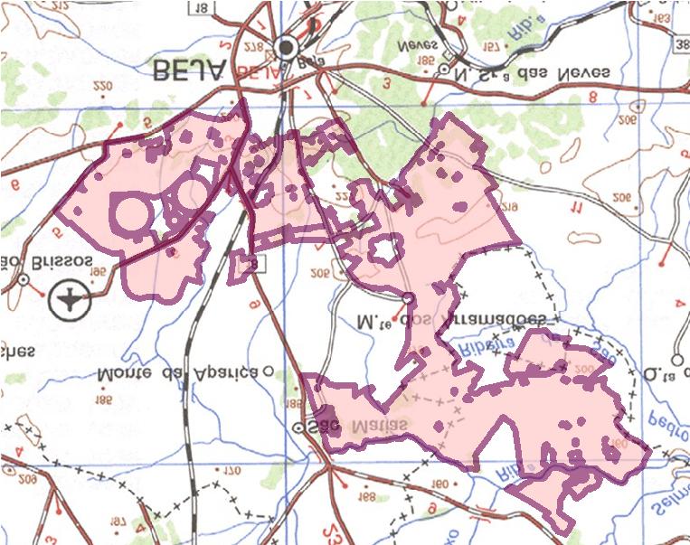 Convenções: Área de Estudo (Buffer de 200 m ao Perímetro de S.Matias) VIDIGUEIRA Freguesia: Selmes Bloco de Rega S.Matias 1 Bloco de Rega S.Matias 2 Bloco de Rega S.Matias 3 Bloco de Rega S.