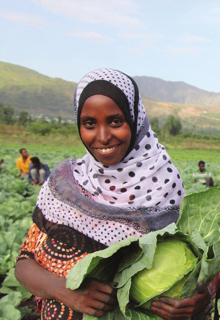 FAO/ Tamiru Legesse FAO/Sailendra Kharel FAO/Kai Wiedenhoefer Foco Segurança alimentar e desenvolvimento rural Mudança climática Crises e conflitos prolongados Em Honduras, a FAO executou um projeto