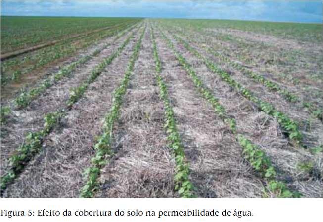 Efeito da adição de matéria orgânica no perfil do solo MELHORIA SUSTENTÁVEL DAS CONDIÇÕES FÍSICAS DO SOLO Efeito nas propriedades físicas do solo: Foto (esquerda para direita): 858 mm chuva em 42