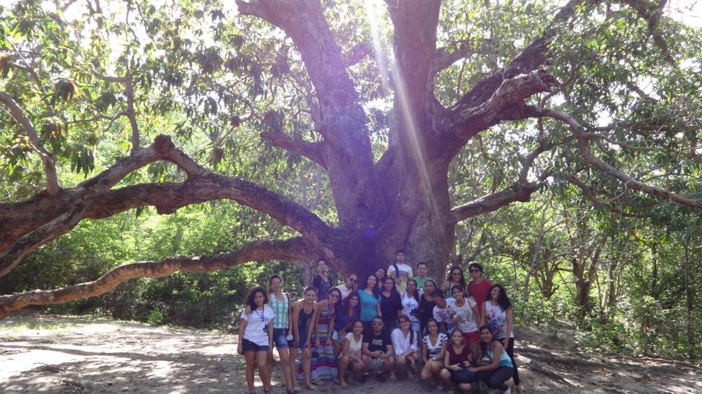 Foto de todos os viventes junto à árvore bicentenária dos Pitaguaris Foto com Cacique Daniel,