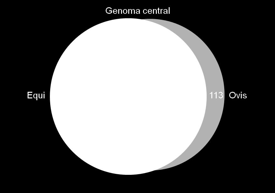 tanto do biovar Ovis quanto do biovar Equi, destacando-se os valores de genes que estão compartilhados entre o genoma central de todas as linhagens de C.