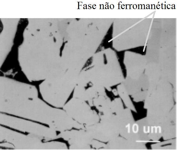 compostos intermetálicos de metal de transição/terra-rara, que fornecem uma elevada anisotropia magneto-cristalina (ADLER, 19