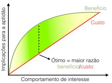 RECAPITULANDO: