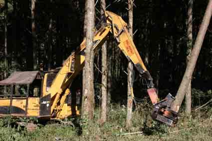 FELLER - SKIDDER Melhora o rebaixamento de toco principalmente por