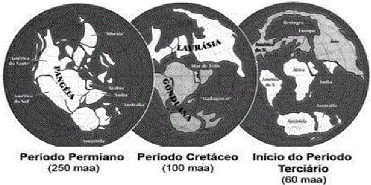 do nosso planeta. A figura ilustra a deriva dos continentes e suas posições durante um período de 250 milhões de anos.
