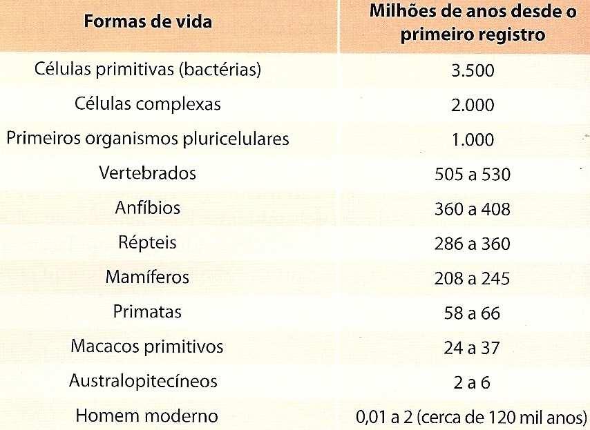 EMBRIONÁRIAS 1- fóssil de peixe; 2- fóssil de concha de molusco; 3- fóssil de inseto; 4- esqueleto de Tarbosaurus.