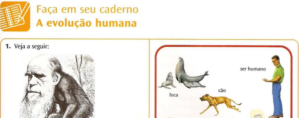 EXERCÍCIOS 1) (UFMA) Considerando-se estruturas análogas as que possuem a mesma função, porém origens embrionárias diferentes, e estruturas homólogas as que possuem a mesma origem embrionária podendo