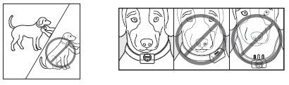 DEFINIÇÕES Pontos de contacto: Emite um corretivo ou estimulo electroestático seguro quando seu animal de estimação emite latidos. Sensor: Sonda que deteta as vibrações dos latidos do seu cão.