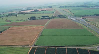 COEXISTÊNCIA Refere-se à capacidade dos agricultores de efetuarem uma escolha prática entre a produção vegetal convencional, biológica e geneticamente