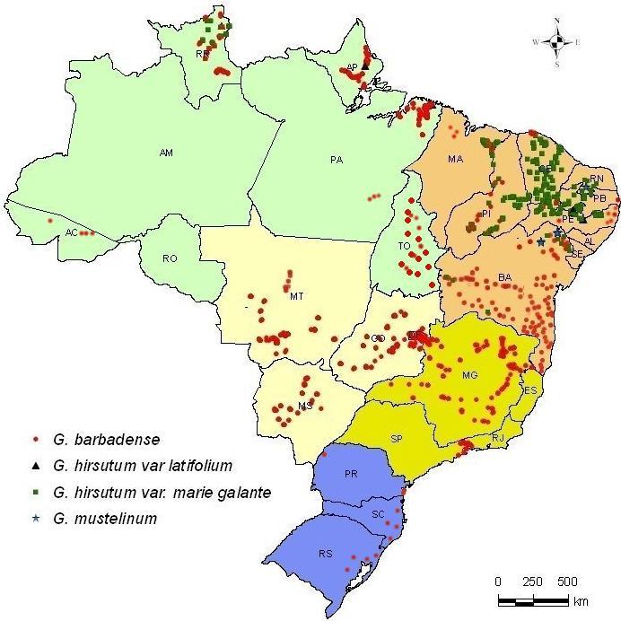 Fiscalização da Zona de Exclusão