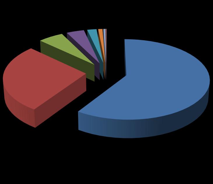 6 Gráfico 1 Participação de mercado das empresas de certificação orgânica por auditoria.