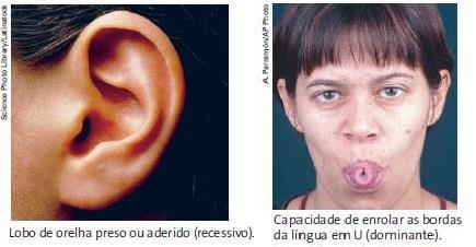 língua; - Insensibilidade ao PTC - Lobo da orelha preso; - Ao cruzar as mãos, o polegar direito sobre o esquerdo; - Cruzar o braço esquerdo sobre o direito.