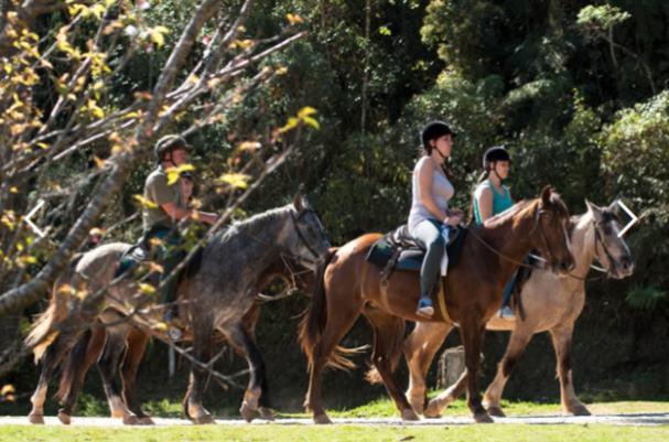 atividade do parque.