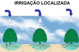 Já com relação à irrigação localizada, os sistemas mais utilizados são o gotejamento, por suas características técnicas que permitem uma irrigação com grande precisão, economia de água e energia, e