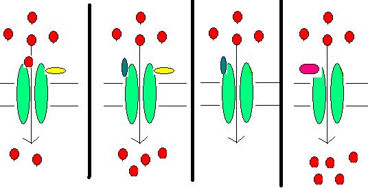 Hipnóticos e sedativos Seqüência depressora (fármacos antigos): sedação,