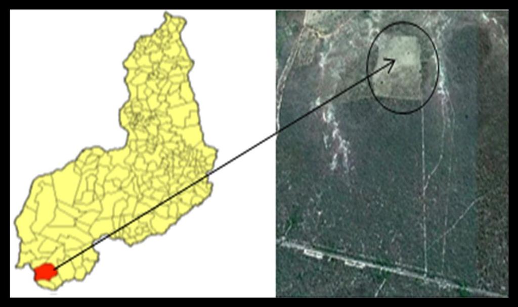 Qualidade ambiental do solo 67 Figura 2. Área do aterro controlado do município de Corrente-Piauí, com destaque no mapa estadual. Fonte: Google Earth, 2015.