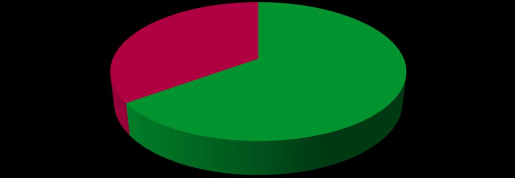 A carga IT Carga IT Hoje Carga IT Futuro 35 % 20% 65 % 80%