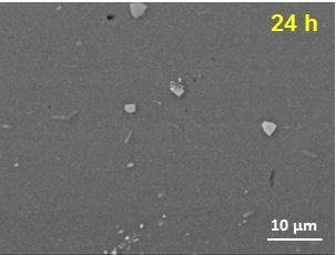 0,1 M de Na2SO4 + 1 mm de NaCl, a ZTMA da liga