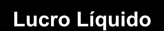 Lucro Líquido Lucro Líquido 236,1 178,9 141,1 No ano o lucro líquido alcançado