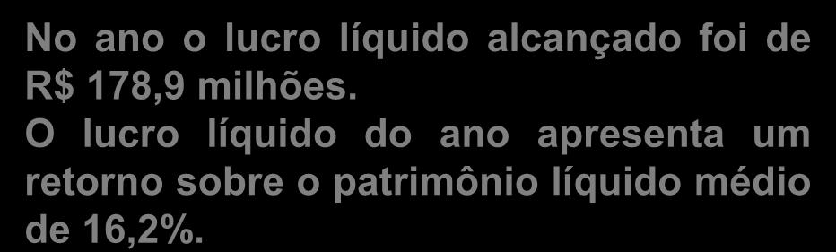 O lucro líquido do ano apresenta um retorno sobre o patrimônio líquido médio de