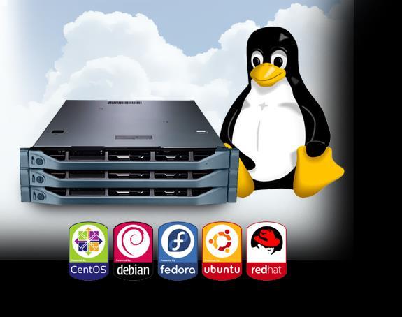 Vantagens de um servidor Linux Estabilidade Os