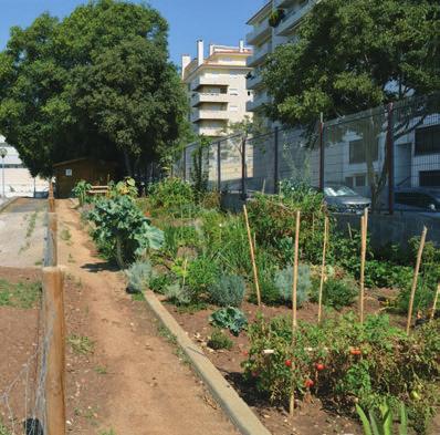 LOPES GRAÇA (13 PARCELAS) 2016 HORTA COMUNITÁRIA DO BAIRRO 16 DE NOVEMBRO (28 PARCELAS)