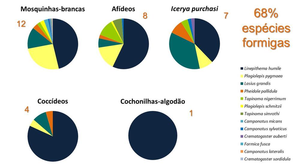 Riqueza espécies