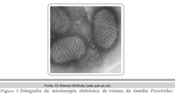 Fonte: http://1.bp.blogspot.com/-dtlbzlkqerg/usvbqeg9lpi/aaaaaaaaakk/sodfvvvpffi/s1600/virus+icosaedrico.png (Modificada) Figura 6. Representação esquemática de um vírus com capsídeo icosaédrico: A.