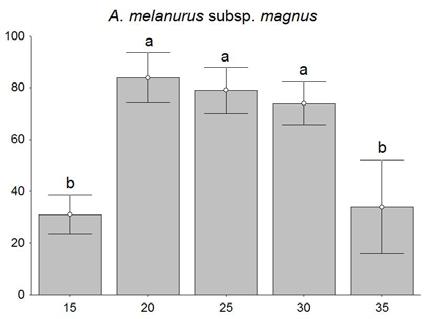 glaziovii apresentaram percentuais de germinação muito baixos (< 10%) nas temperaturas extremas, e germinabilidade em torno de 70% nas temperaturas de 25 e 30 C. A subespécie A. melanurus subsp.