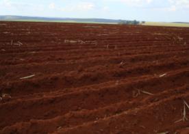 Venda Valor imobiliário criado Total: 394 ha Agricultável:310 ha R$ 3,8 MM R$ 10,3 MM