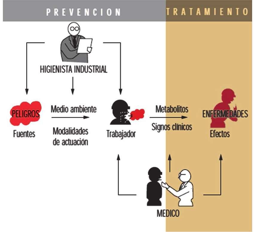 Conhecimentos a mobilizar Momento da ação no indivíduo: efeitos precoces e reversíveis.