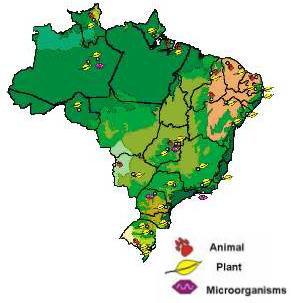 A Rede Microbiana permitiu maior integração das coleções de microrganismos, viabilizando-as em ações conjuntas.