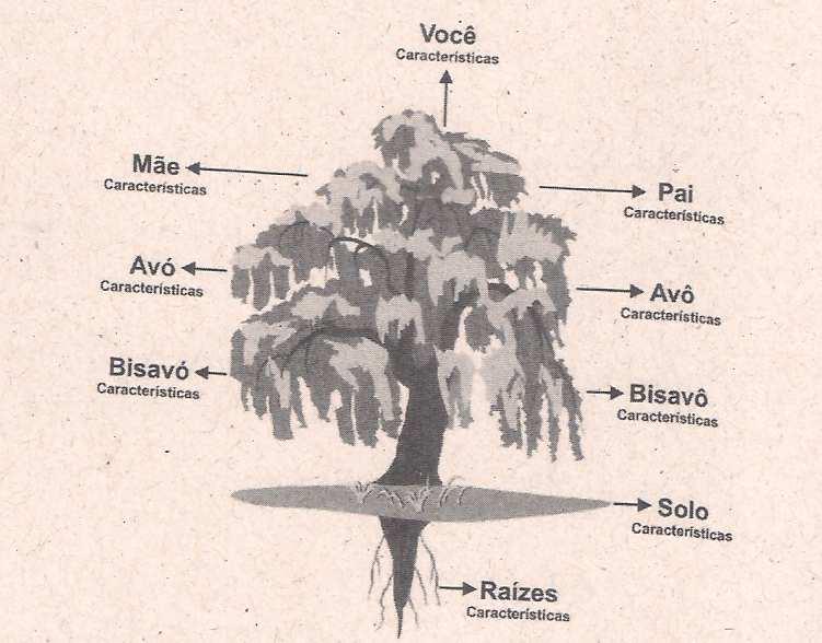 39 Figura 3: Exemplo de um esquema de árvore genealógica da família Fonte: Rodovalho (2005b, p. 32) É necessário ao indivíduo quebrar com autoridade espiritual (RODOVALHO, 2005b, p.