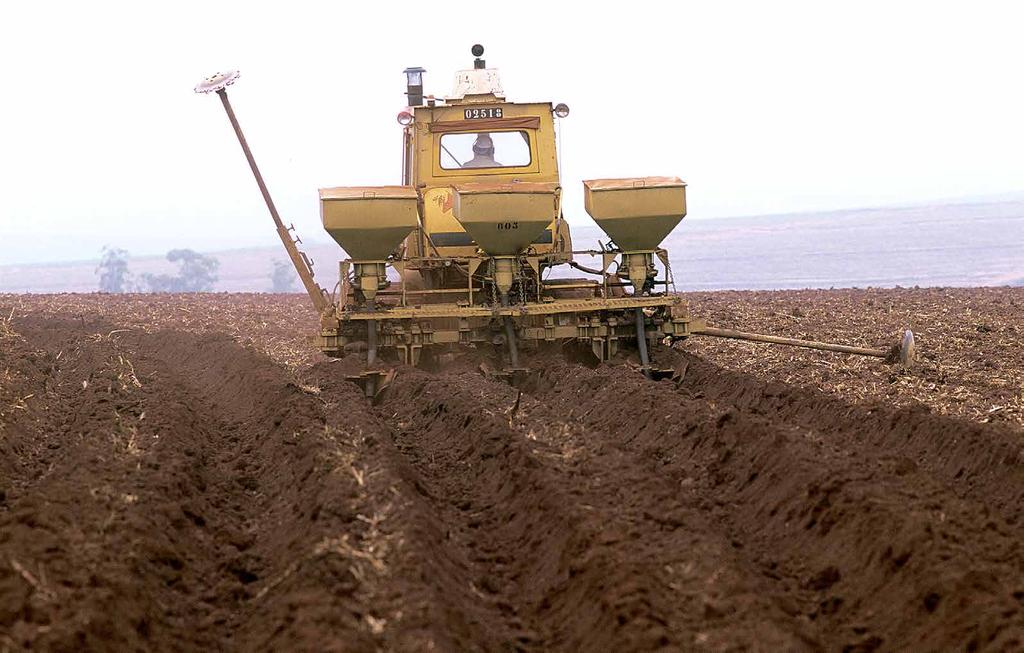 O preparo de solo para as sementes da crotalária é o mesmo realizado para receber os toletes de cana verde, seguido por Minas, Goiás, Paraná e Mato Grosso do Sul.