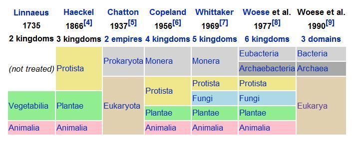 Breve Histórico da Taxonomia