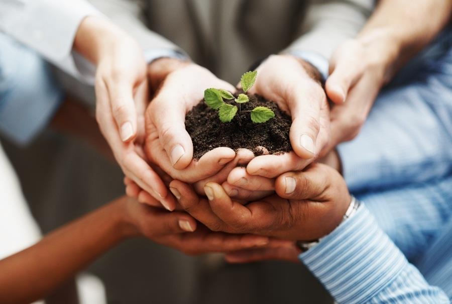 UMA IDEIA DE SUSTENTABILIDADE Learning by Doing As decisões são tomadas em um ambiente de incertezas e muitas vezes é preciso retomar a