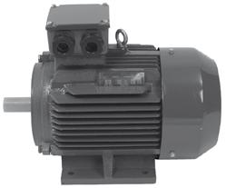 MOTORES I MOTORS EM30/E30 Motores Elétricos Trifásicos - Ferro fundido I Three-phase Electric Motors - Cast Iron O rendimento de motores 2 e 4 polos, potências iguais ou superiores a 0,75kW, cumprem