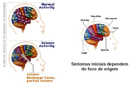 Conceitos