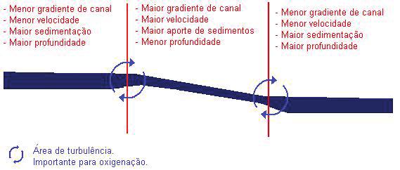 Esta última condição leva à tendência de maior densidade demográfica e, por consequência, a maiores possibilidades de poluição hídrica em regiões de elevada densidade demográfica.