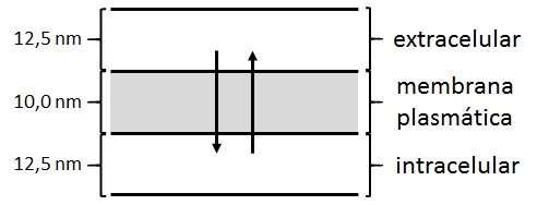 69 4 MODELAGEM MATEMÁTICA A modelagem permite a exploração da interação entre a morfologia axonal e as propriedades da membrana passiva e ativa na determinação da passagem do sinal.