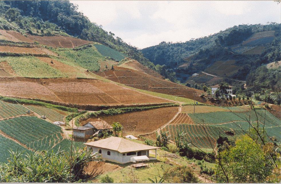 Pequena agricultura: