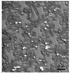 )LJXUD Microscopia eletrônica de