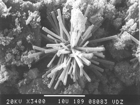 FASE 1 SÓLIDOS Cristais em formato de agulhas (Stark, J.; Bollmann, K.