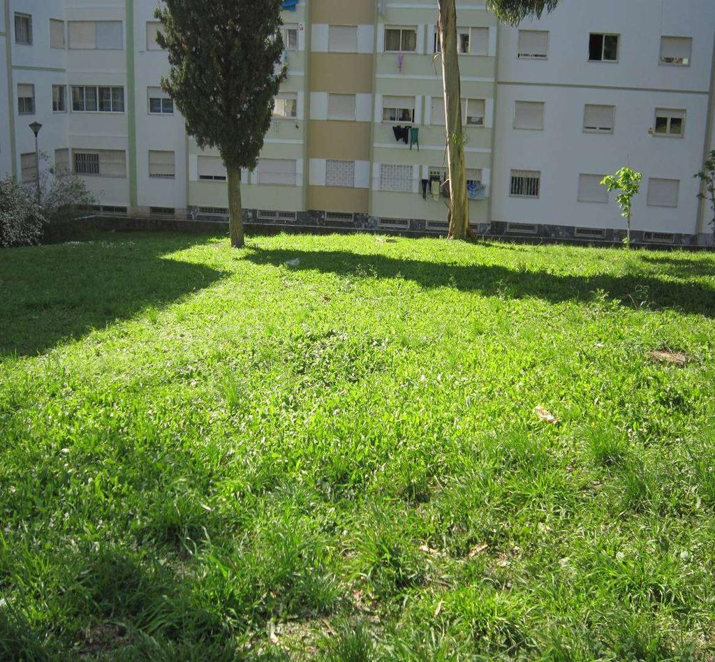 Elaboração de Estudo: Para preenchimento de espaços vazios com