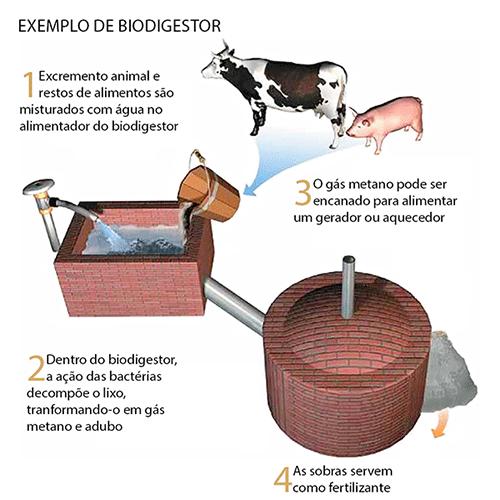 Linhas de Pesquisa e Projetos - Enzimas e leveduras para produção de etanol a partir da biomassa da cana Coordenador: LGB Financiamento: BNDES/CTC R$