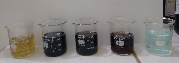 As amostras foram identificadas com VERDE 1, VREDE2, VERDE 3, ESCURO 1, ESCURO 2, ESCURO 3, ROSA E MISTURADO. Figura 2 (a)vários tons de verde, juntados em um único vasilhame.