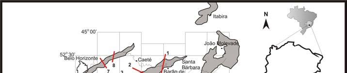 Contribuições às Ciências da Terra, Série M, vol. 25, 125p. orientar com o campo magnético terrestre, girando em torno deste com uma freqüência angular.