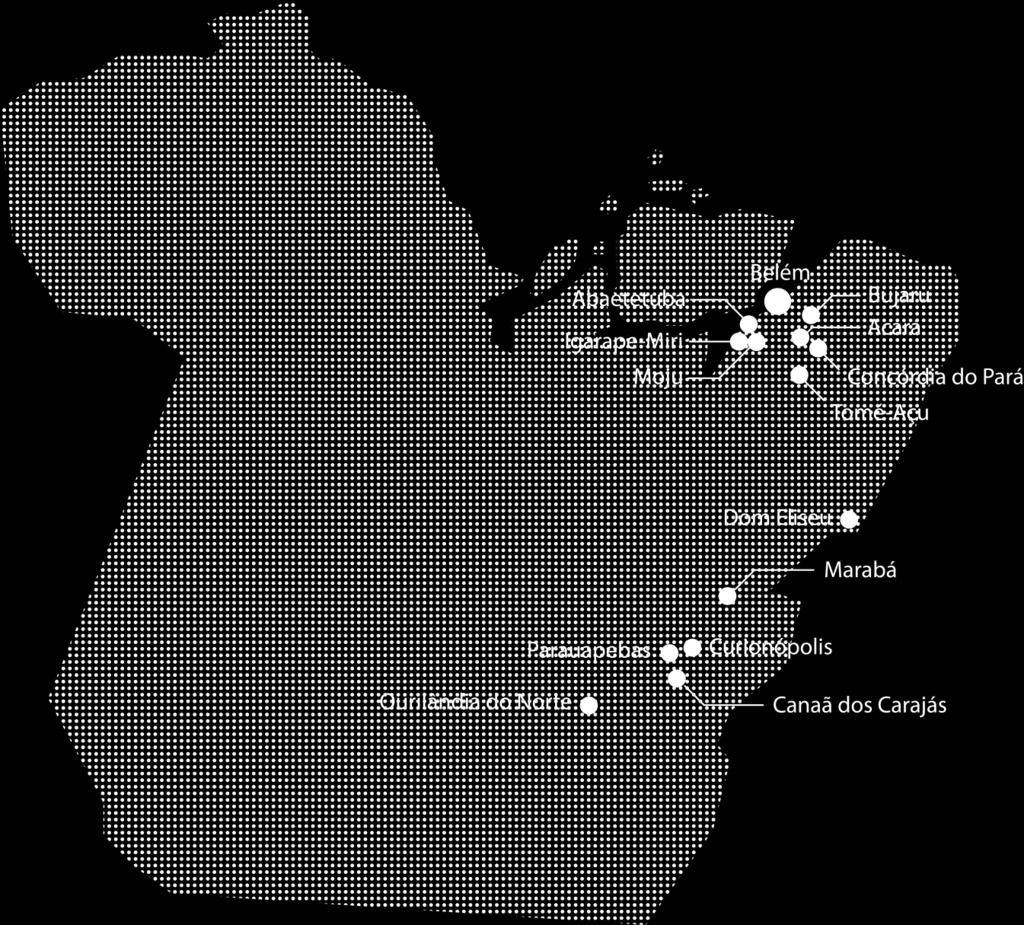 A Vale no Pará A Vale está presente no Pará há 40 anos 14 municípios, com operações e projetos