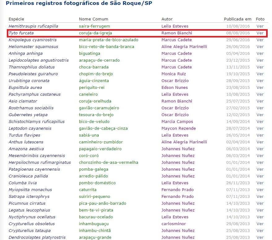 Figura 12 Primeiro Registro Fotográfico de T.